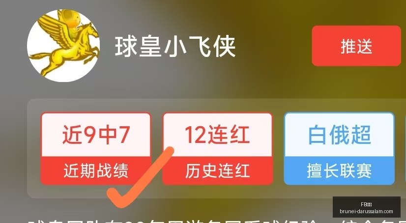上市筹备进,展大,年度营收目,FB体育,FB体育官网,FB体育app,FB体育平台