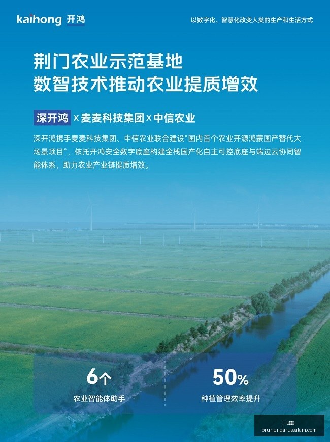 终极指南,纳指标普两,连阴,FB体育,FB体育官网,FB体育app,FB体育平台