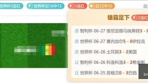 世界杯 114417 5